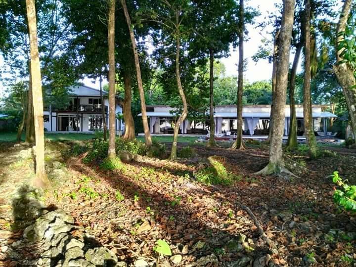 Cahuita Inn Exterior photo