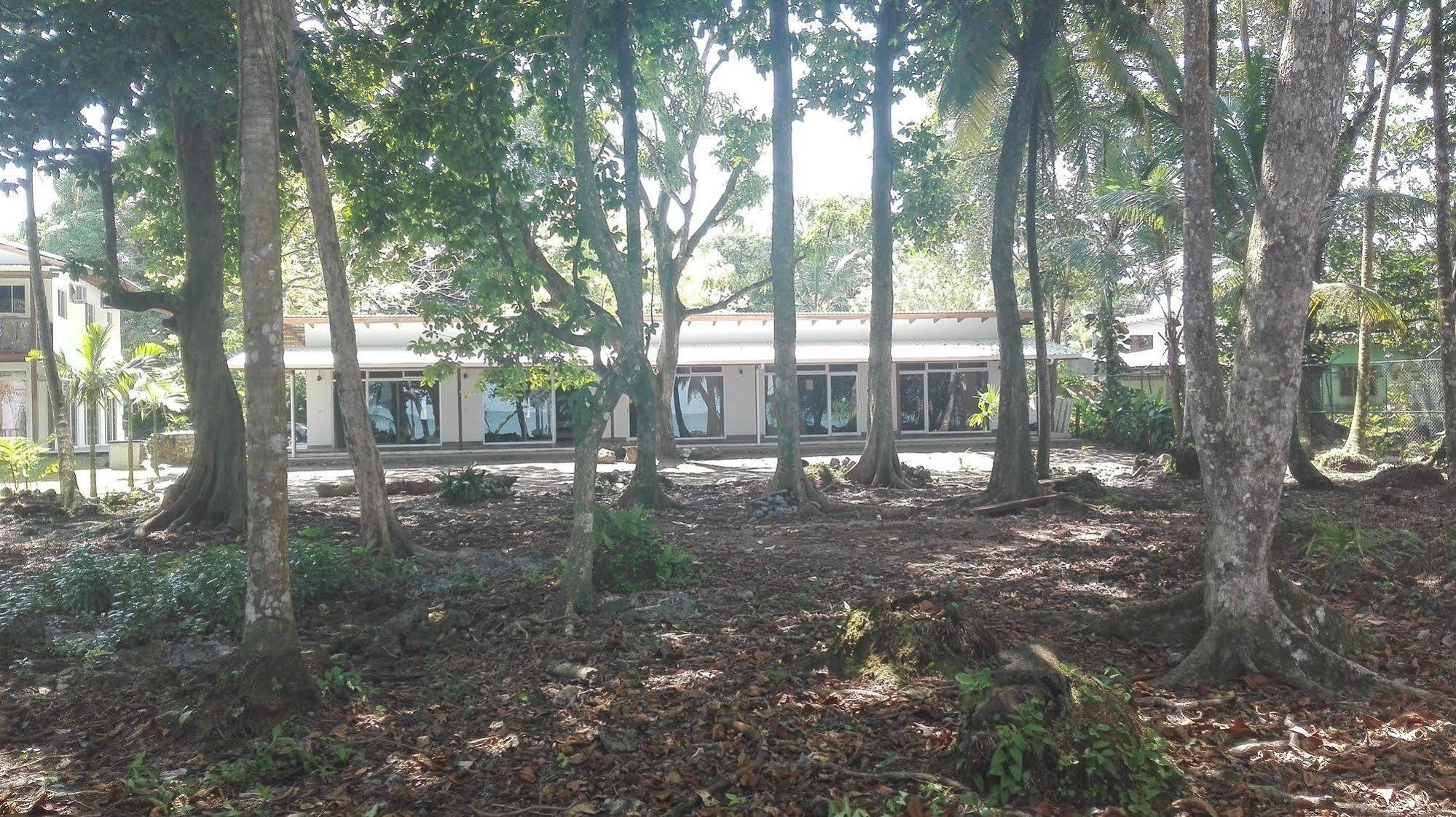 Cahuita Inn Exterior photo